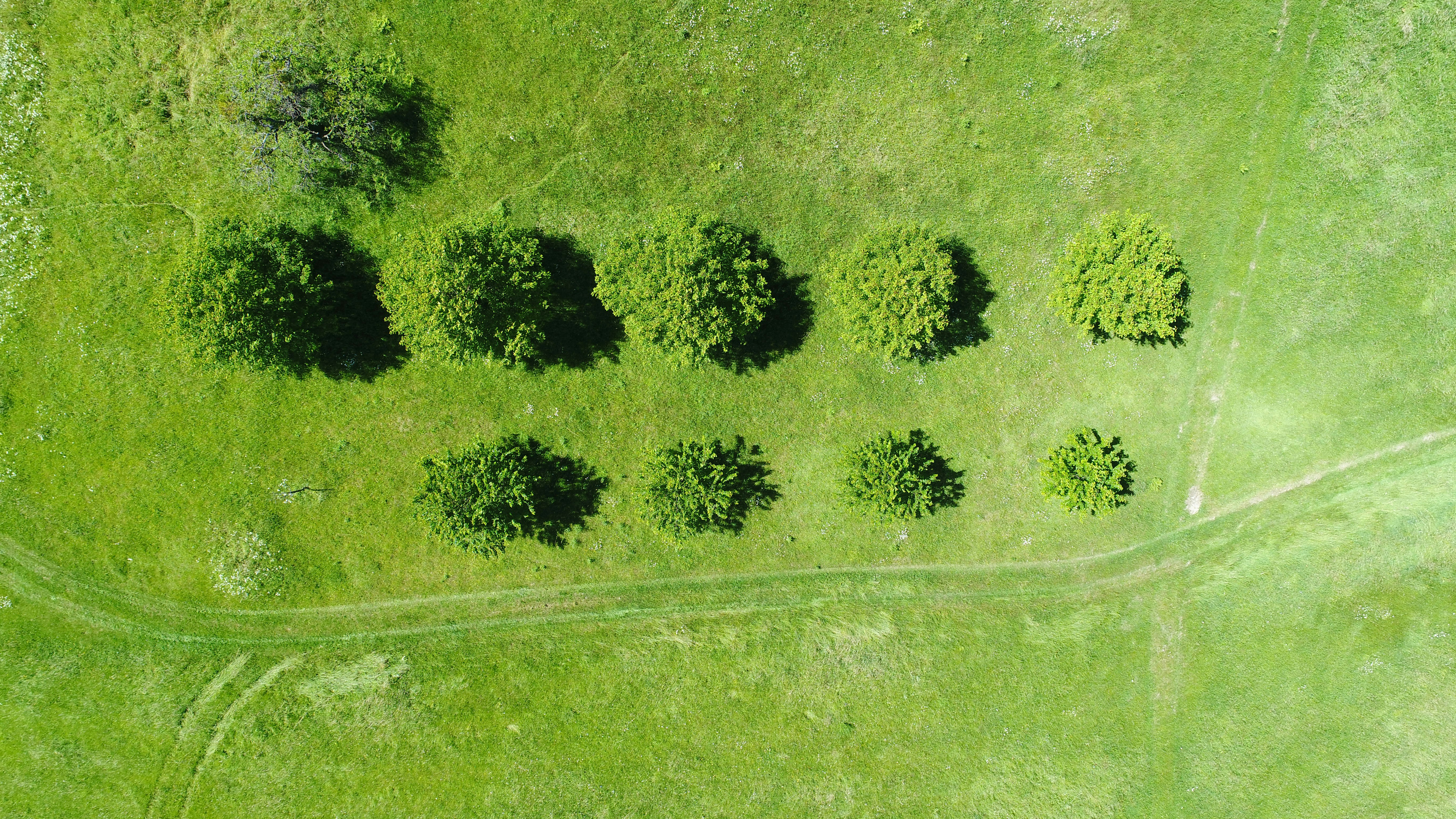 aerial photography of gree meadows